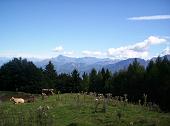 Panoramica escursione sul Monte San Primo – Triangolo Lariano (Domenica 29 agosto 2010) - FOTOGALLERY